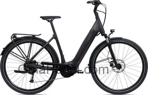 Giant DailyTour E+ 1 ficha técnica y opiniones